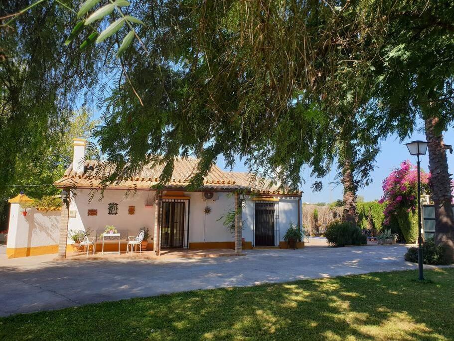 Finca El Romero, Finca A 15 Minutos De Sevilla Alcala del Rio Luaran gambar