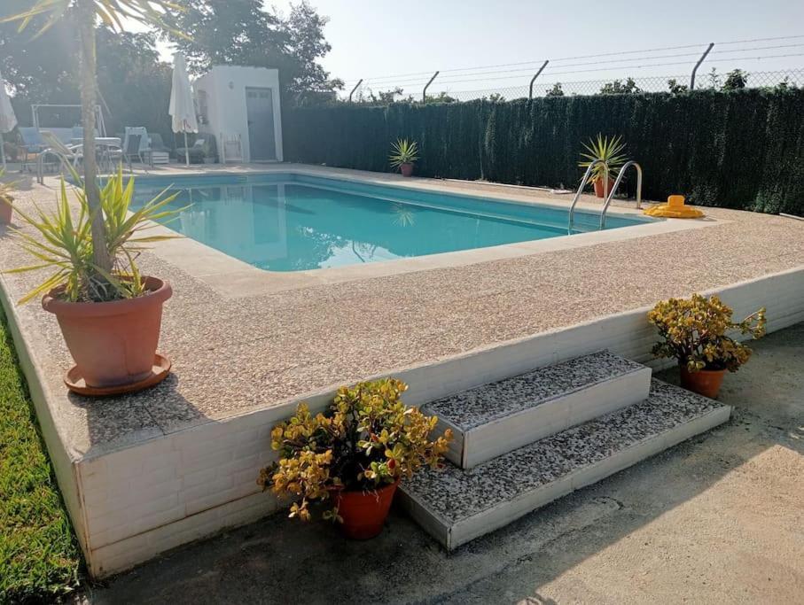 Finca El Romero, Finca A 15 Minutos De Sevilla Alcala del Rio Luaran gambar